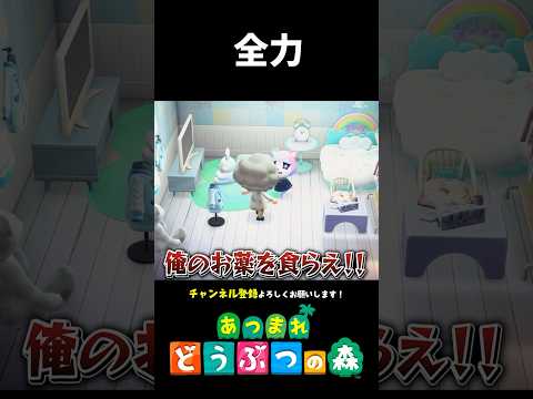 【あつ森】友達のピンチに全力を尽くす