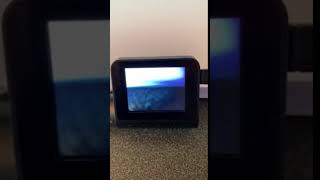 IMG 0512