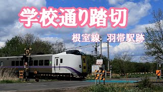 【根室本線　踏切】学校通り踏切を261系特急とかち３号が警笛をならして通過