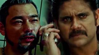 Nagarjuna को मारने के लिए Kelly Dorji ने टॉप क्लास के शूटर मंगाया था | Don No 1 Action Scene