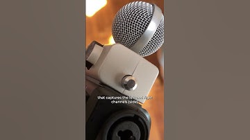 What Can You Do With The MSH 6 Capsule? Zoom H6 vs Zoom H8