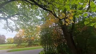 #fall, #fallvibes 2026 - Boyd Conservation Park (VID 20261012 112916 00 015)
