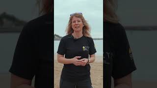 Download Lagu Comprender lo que ocurre en nuestras playas es el primer paso para proteger el #litoral vasco 🌊 MP3 Download Lagu Comprender lo que ocurre en nuestras playas es el primer paso para proteger el #litoral vasco 🌊 MP3