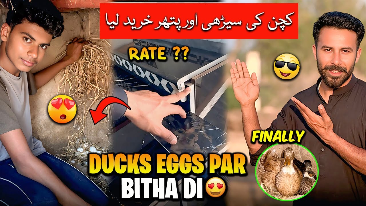 Finally Ducks Eggs pe Bitha di😍 Stairs Or Kitchen ka Marble Purchase krliya😍