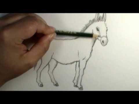 How to draw a Donkey Plus shading intro!