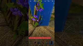ДОМ НА ДЕРЕВЕ ИМБА #rust #раст