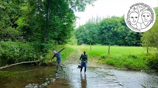 Durch Bach Und Tal Wandersocken-Runde Bei Windhagen