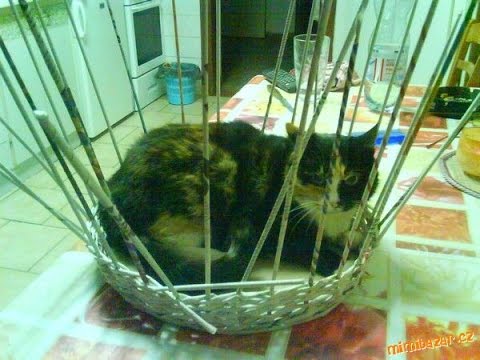 Домик для кота из газетных трубочек пошаговая инструкция 172