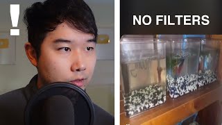 this person has MORE BETTAS THAN PETSMART | Fish Tank Review 184
