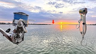 I Tossed My Saltwater Popper Over These Shallow Flats And Caught This