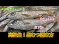 [魚の捌き方]煮付用の下処理の方法を教えます