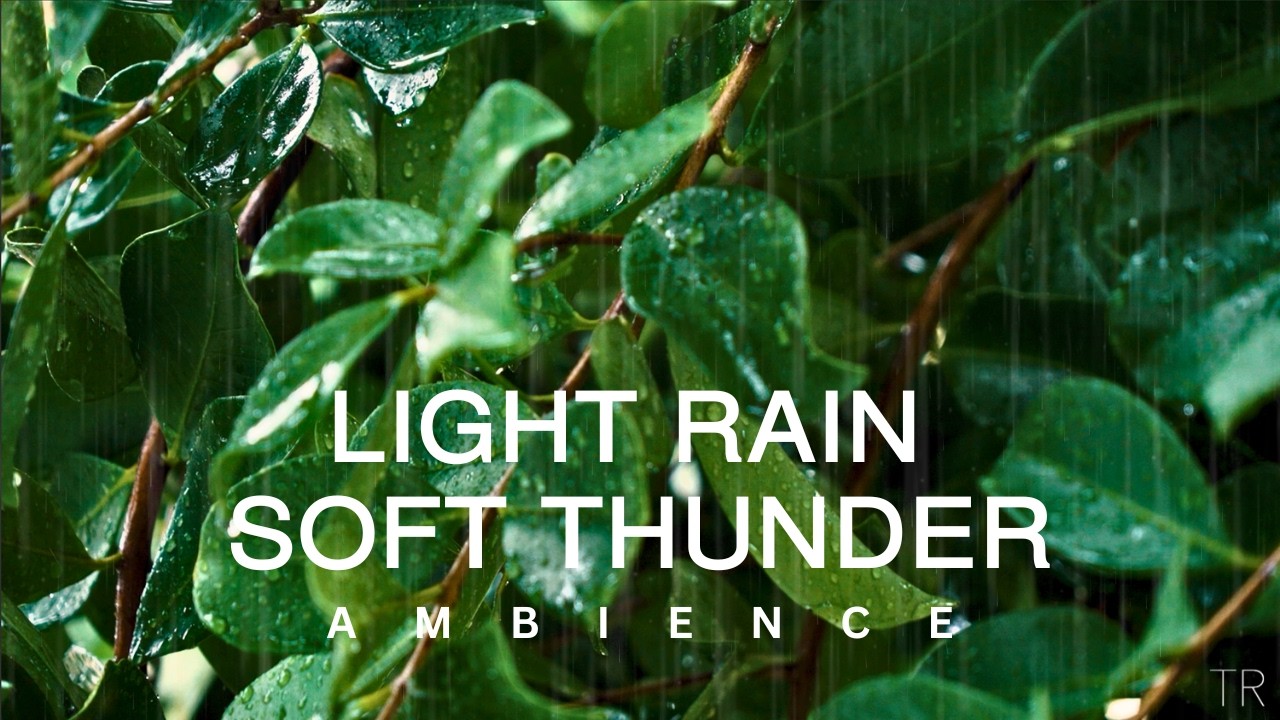 10 Hour | The Power of Rain: Nature's Cleansing Ritual | Rain & Distant Thunder Sounds