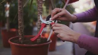 John 15:2: A Fun and Easy Breakdown