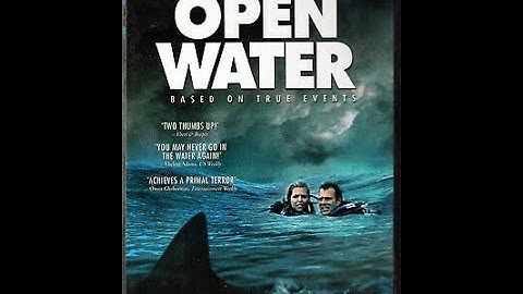 Stranded in the Ocean  The True Story Behind Open Water #truestory #movie #shorts