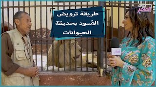 جروب الماميز| زيارة لبيت الأسد بحديقة الحيوانات ومعلومات عن تمثال نهضة مصر