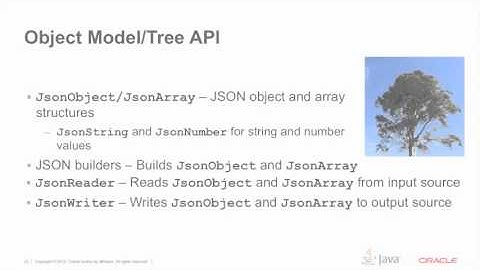 JSON Processing 1 0