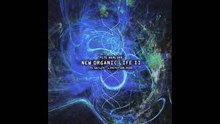 Pete Namlook - Namlook XVII - New Organic Life II (2001)