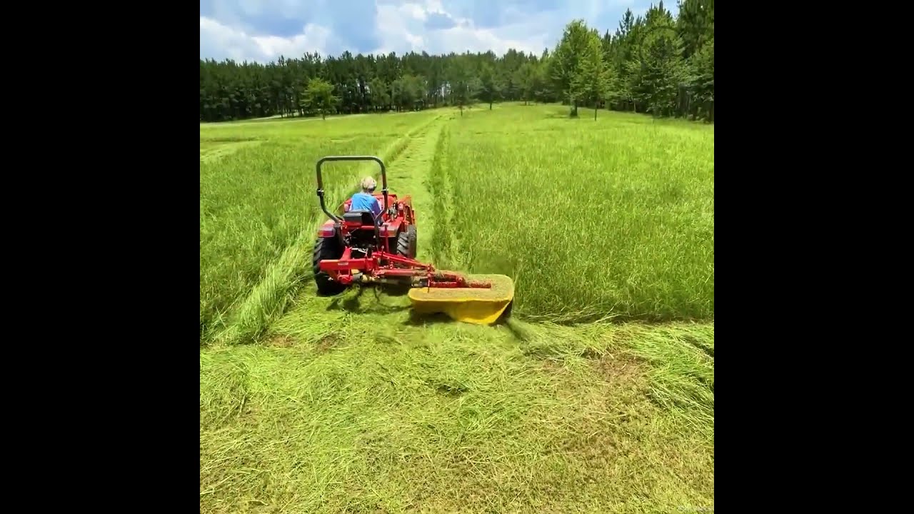 We Tried a New Way to Cut Hay—And the Results Surprised Us!
