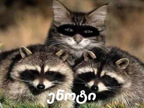 საბავშვო გადაცემა \"რაც ვიცით და არ ვიცით\" მე-2 გადაცემა