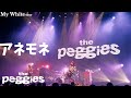 the peggies 「アネモネ」 My White tour @ Spotify O-EAST 2022.9.20#thepeggies #北澤ゆうほ #ぺギーズ