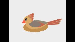 Whistling Cardinal [Audioception Project]