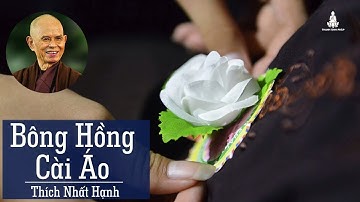 Bông hồng cài áo - Thiền sư Thích Nhất Hạnh