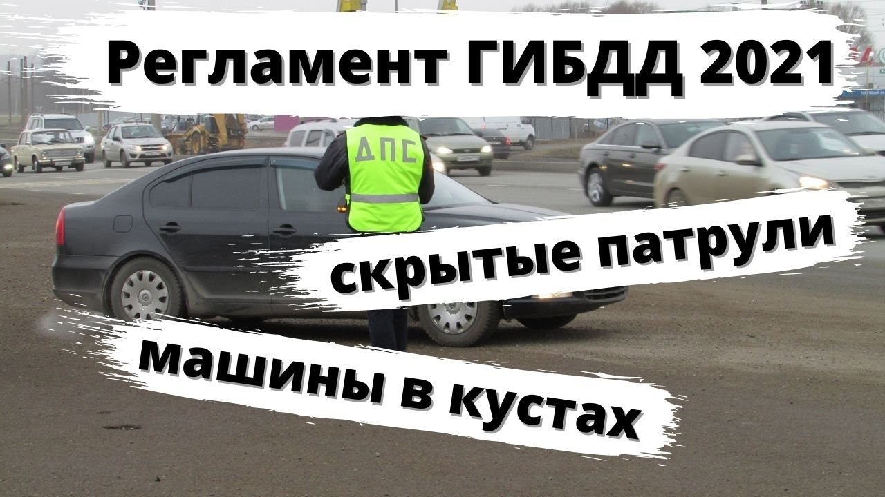 Машина в кустах