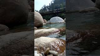 Nature New Instagram Reels Video Water Flow