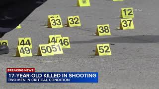 Teen killed, 2 others critically hurt in South Side shooting, Chicago police say