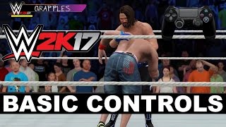 WWE 2K17 Controls: The Basics [International] screenshot 3