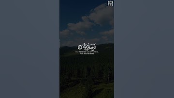 قُلۡ هُوَ ٱللَّهُ أَحَدٌ ✨ | أحمد النفيس | تلاوة سورة الإخلاص #قرآن_كريم #quran