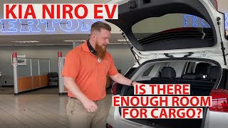Kia Niro EV Cargo review