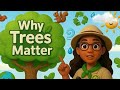 🌳 Why Trees Matter: The Importance of Trees | Eco Chomi
