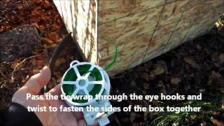 How to winterize and propagate your Hardy Chicago fig tree Wealth