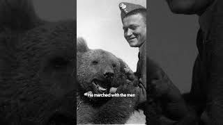 Wojtek the Bear: A World War II Hero #wojtekbear #greatbigstory