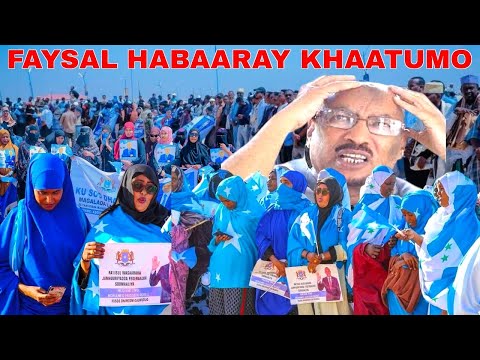 DEGDEG FAYSAL CALI WARAABE OOHIN AFKA FURTAY QIRAY IN SOMALILAND LAGA ADKAADAY HABAARA XASAN SHEEKH