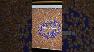 20k game objects in Javascript Game Engine on iPad | TypeSpriteJS #001