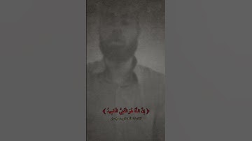 تلاوة من سورة لقمان للقارئ مصطفى مطاوع