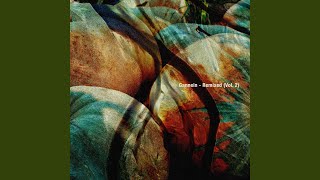 Download Lagu Gannein - Dasypeltis (Rill Remix) MP3