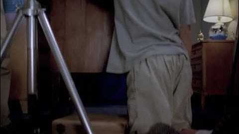 Terri Timely - A Persistent vision