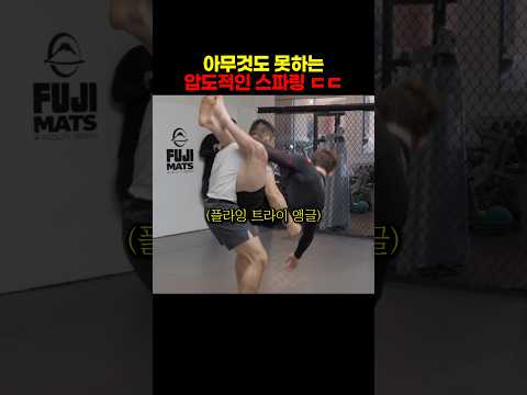 김동현도 감탄한 UFC 주짓수 챔피언의 압도적인 스파링