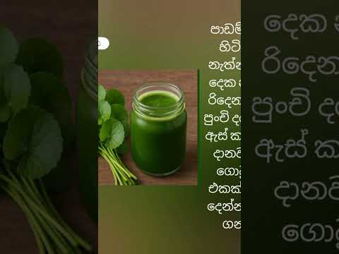 ගොටුකොළ ගැන පුදුම හිතෙන කතාවක් Sri lankan food culture with  green leaves @ toon town sl