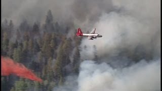 Diego Fire burns 200 acres in Jemez Mountains