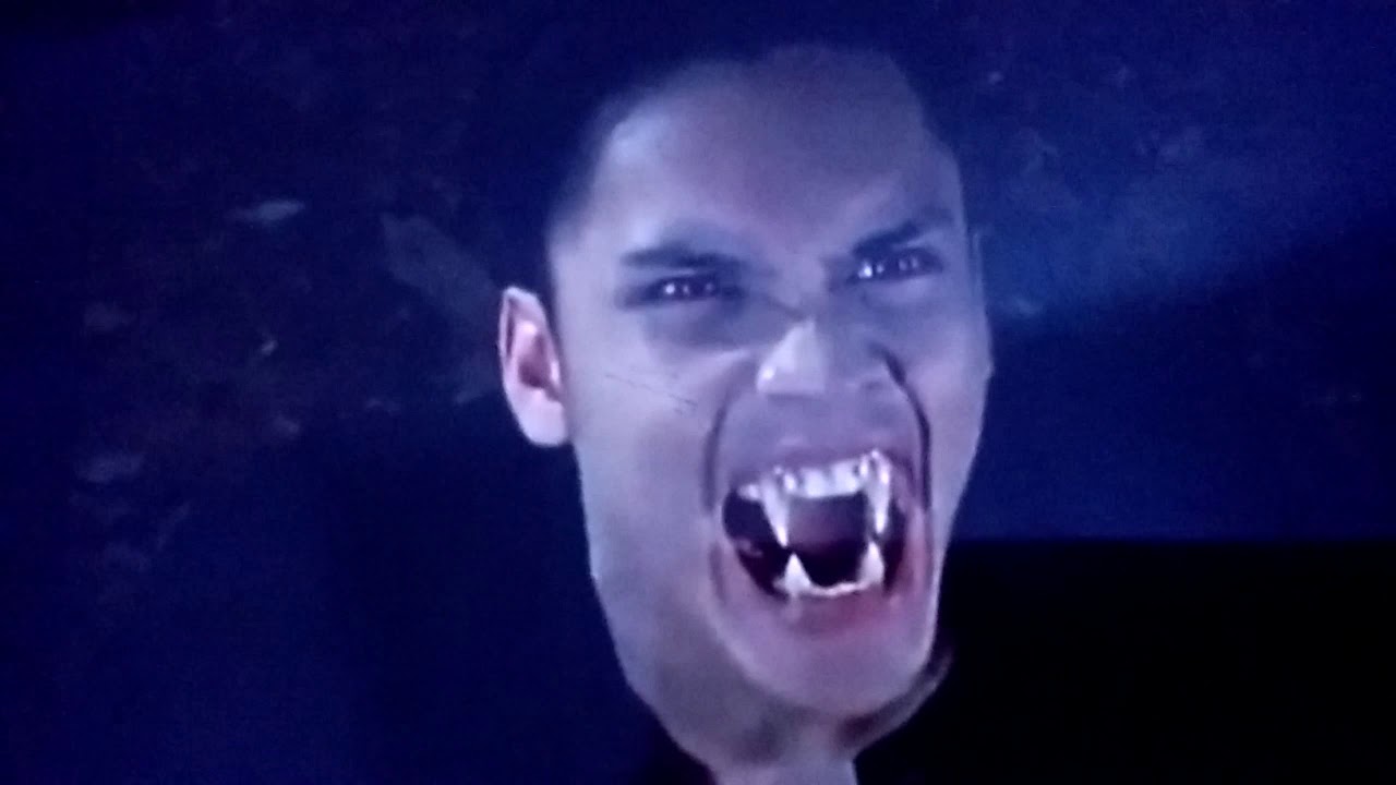 tik tok manusia harimau