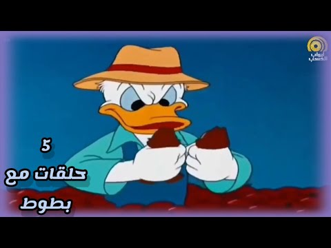 خمسة حلقات من بطوط كرتون أطفال بدون موسيقى 