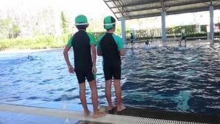 Term 2 (2015-2016) Swimming class with P1