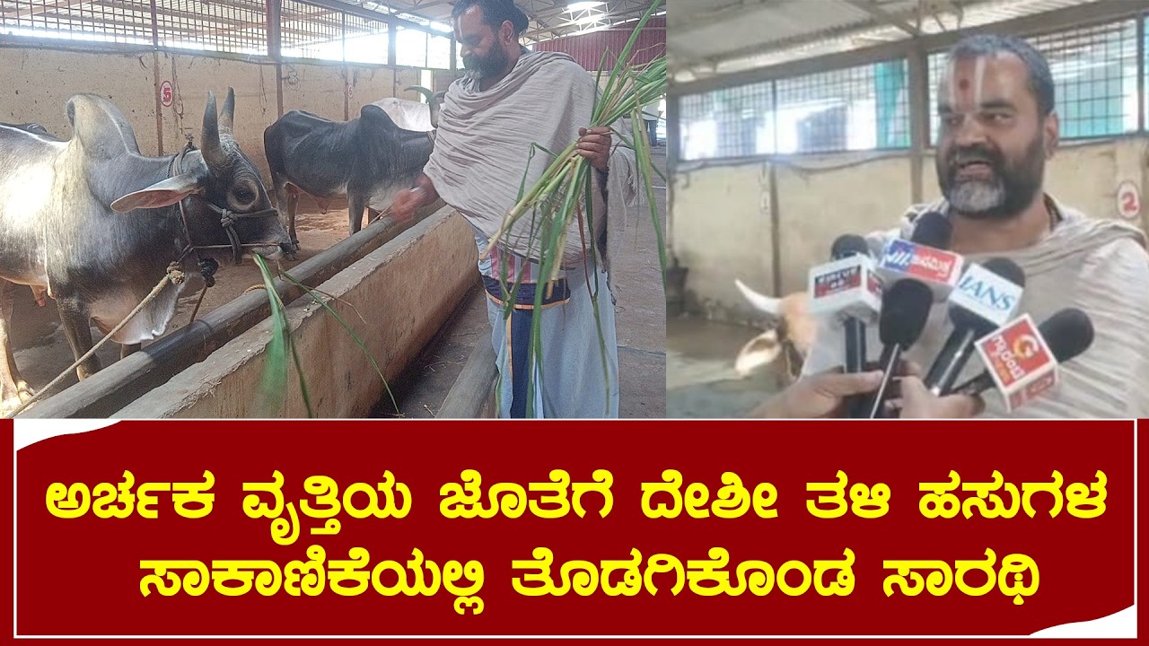 ಅರ್ಚಕ ವೃತ್ತಿಯ ಜೊತೆಗೆ ದೇಶೀ ತಳಿ ಹಸುಗಳ ಸಾಕಾಣಿಕೆಯಲ್ಲಿ ತೊಡಗಿಕೊಂಡ ಸಾರಥಿ