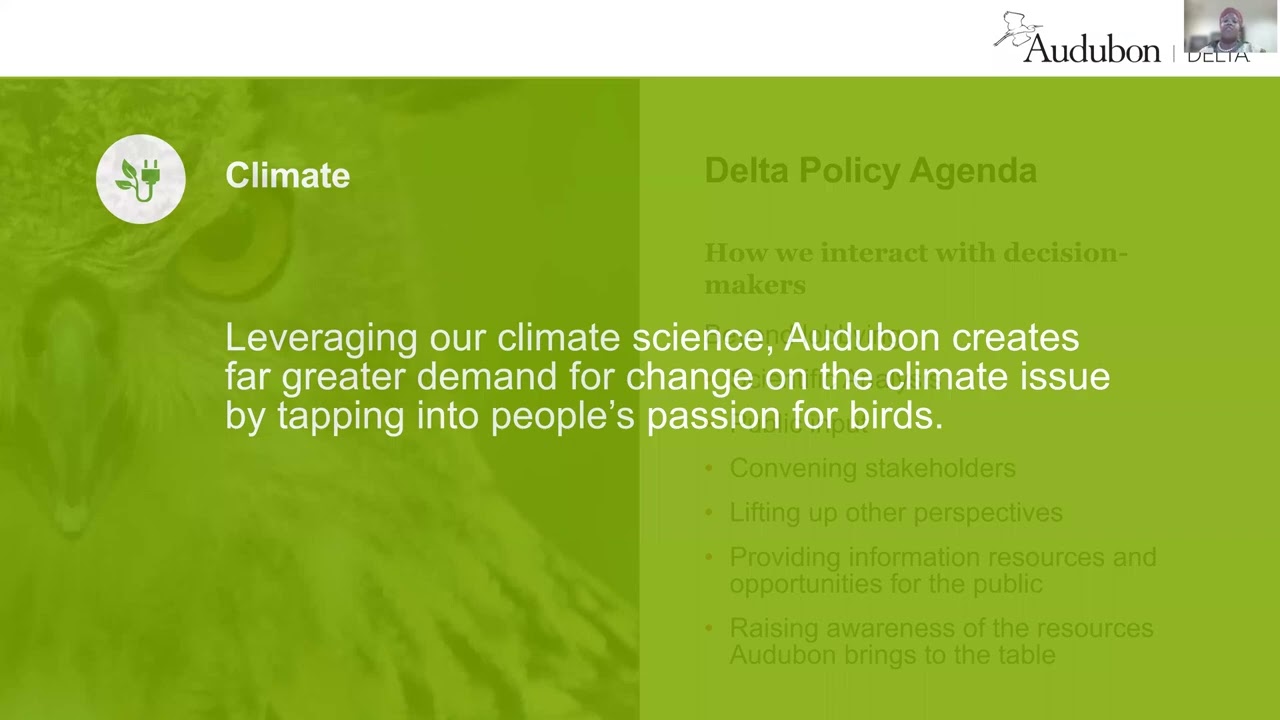 Audubon Delta - Looking forward
