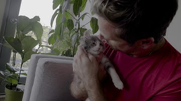 Touch Sensitive - Mystery of the Cats [Official Visualiser]