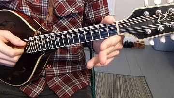 Left Hand Technique - Mandolin Lesson